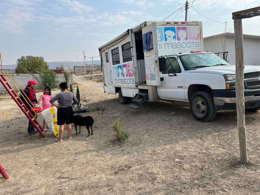 Alistan programa de atención a mascotas caninas y felinas en diversos puntos de la ciudad.