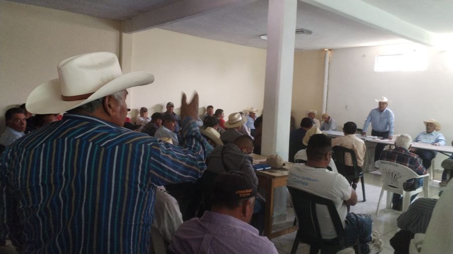 Campesinos Advierten Pérdidas De Cultivos Por  Robo  De Agua