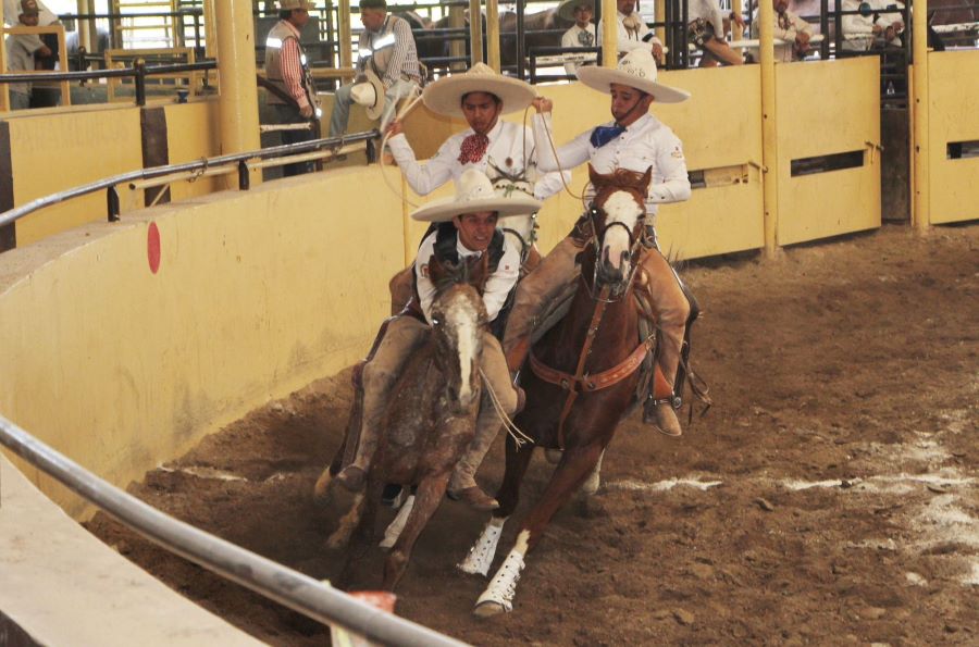 Charrería Se Cuelga La Primera Medalla De Oro Para Hidalgo En Los NC