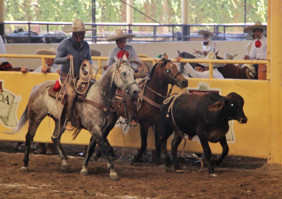 Charrería Categoría Infantil B” Hidalgo Suma Dos Medallas en La Justa Nacional