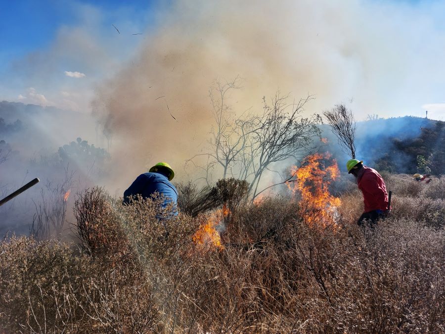 Incendio Forestal en Tlahuiltepa, Controlado al 98%: Julio Menchaca