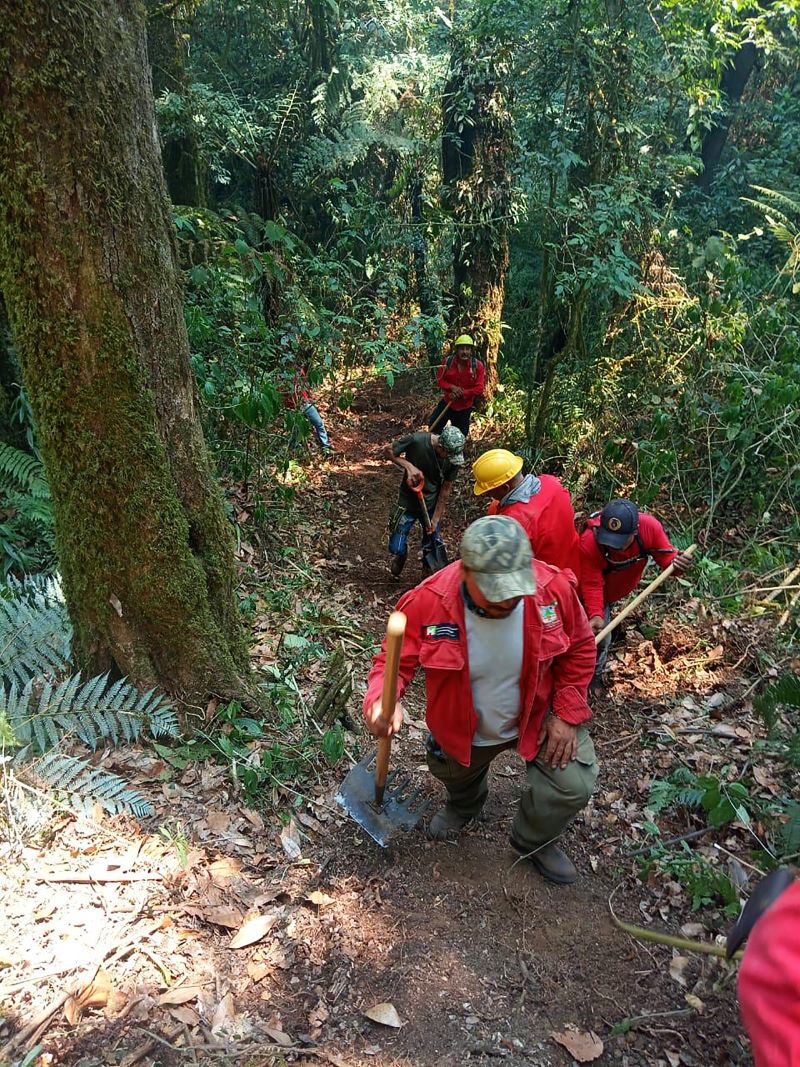 Incendios En San Bartolo Tutotepec y Tenango De Doria Se Encuentran En Fase De Confinamiento