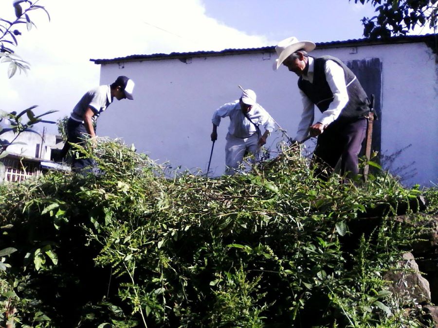 Acciones Preventivas Ante Intoxicaciones Por Picadura de Alacrán