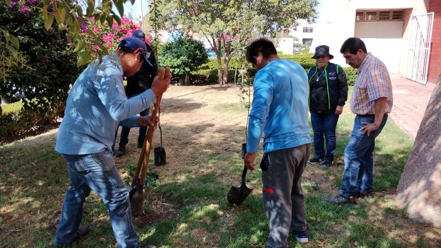 Con Enriquecimiento a Masa Arbórea del Municipio Fue Conmemorado Día del Medio Ambiente.