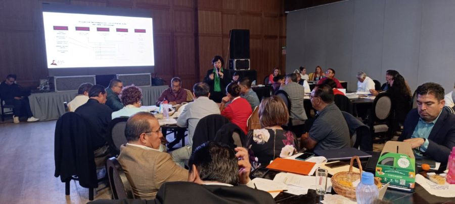 Sesión Ordinaria de Consejos Técnicos Directivos  Niveles y Modalidades de Educación Básica del IHE