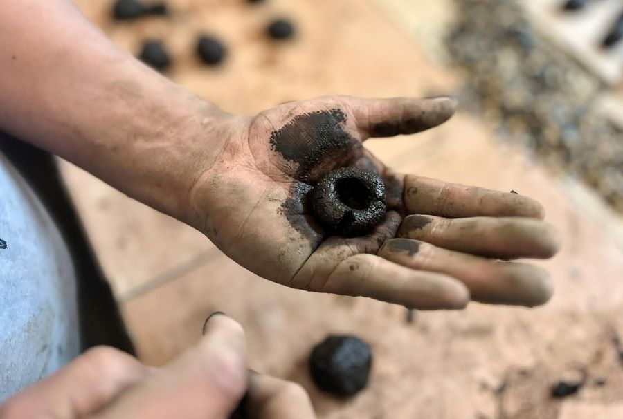 Participan Centros Penitenciarios en Proyecto de Reforestación
