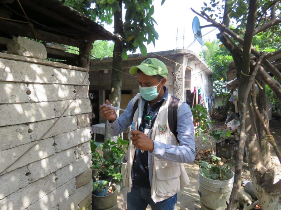 Actualización del Panorama Epidemiológico y Medidas Contra el Dengue en el Estado de Hidalgo