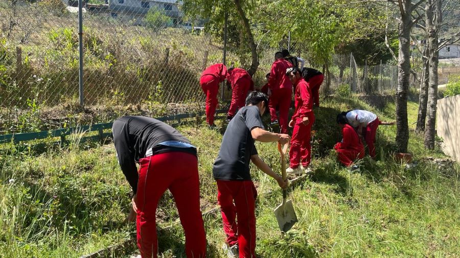 Adoptemos Medidas Preventivas Contra el Dengue, es Fundamental Para Proteger a tu Familia y a tu Comunidad