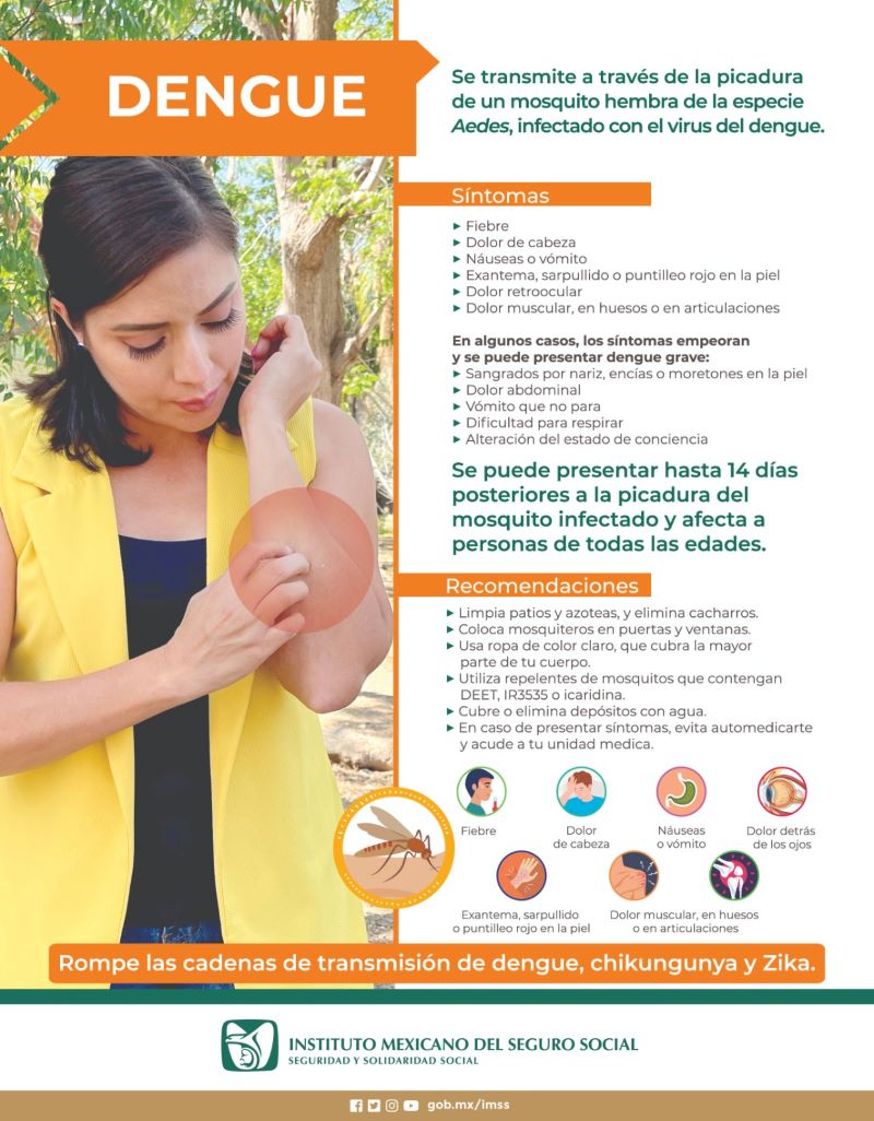 Brinda IMSS Hidalgo Recomendaciones Para Prevenir Casos de Dengue