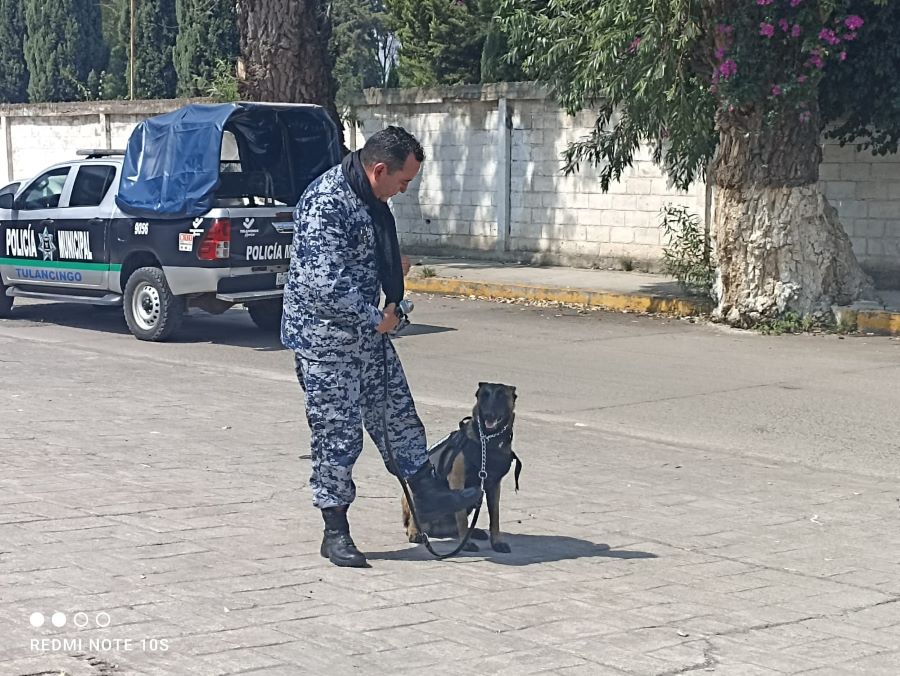 Curso de Verano de la UPC, “Aprender Jugando”