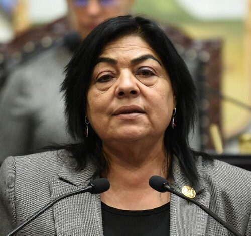 Diputada Propone Reforma al Código Civil Para la Cultura Jurídica se Ajuste a la Tecnología en Una Realidad Moderna, Segura, Práctica.