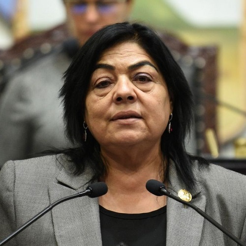 Diputada Propone Reforma al Código Civil Para la Cultura Jurídica se Ajuste a la Tecnología en Una Realidad Moderna, Segura, Práctica.