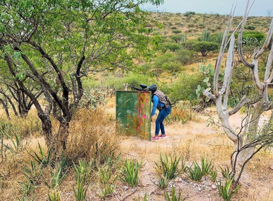 “Kohua Aventura Extrema”, el Lugar Ideal Para Conectar Con La Naturaleza de Hidalgo