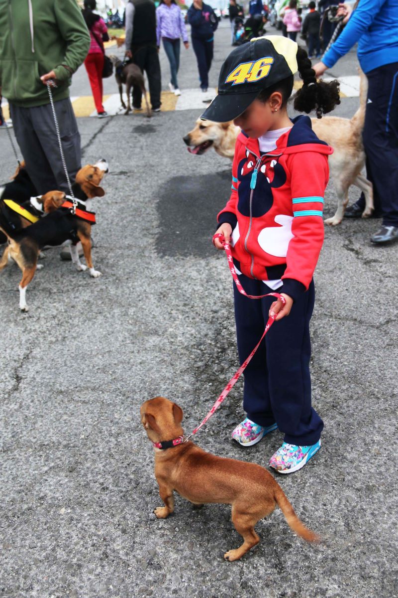 SSH Promueve Medidas de Prevención Para Evitar las Zoonosis