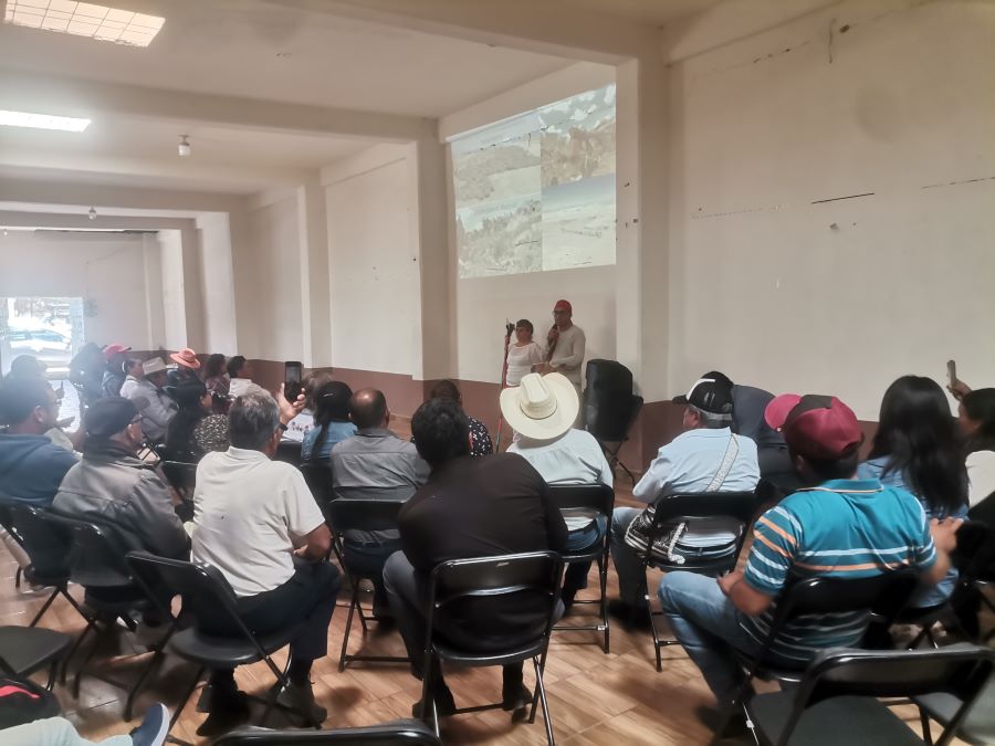 Advierten Daños Ambientales Por Posible Instalación de Paneles Solares en Epazoyucan