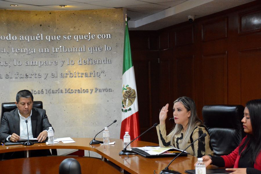 Amonestaciones Públicas y Resoluciones del Teeh (Actos Anticipados de Campaña y Otras Infracciones)