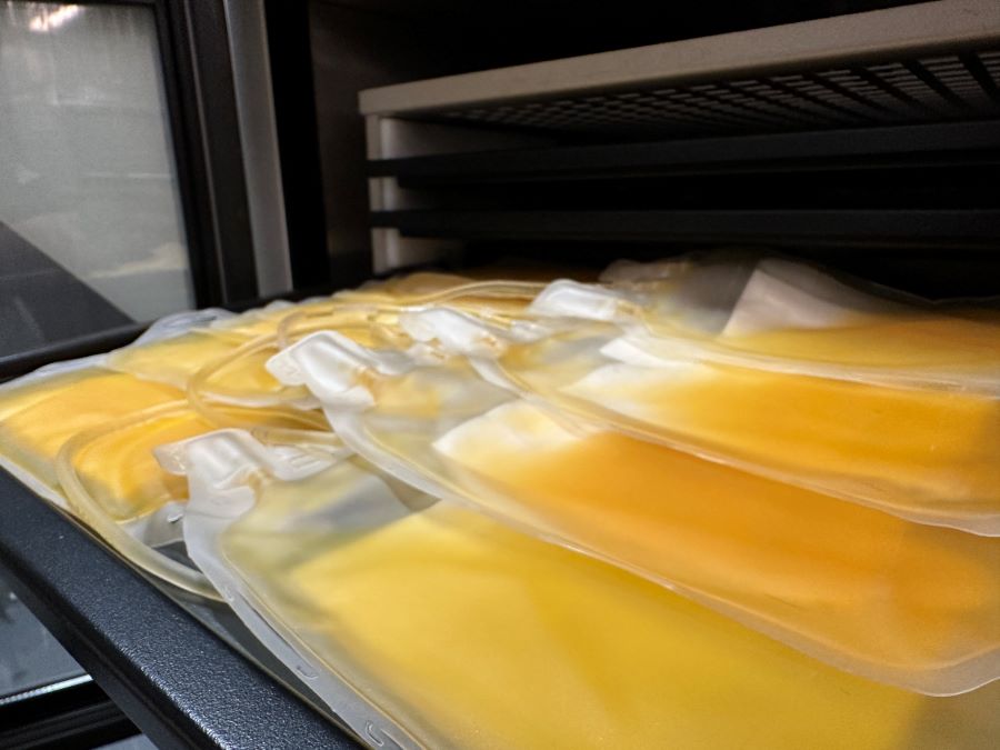 La SSH Hace Un Llamado Para Incrementar la Donación Altruista de Sangre