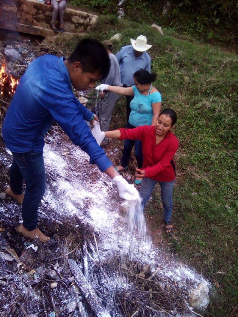 Medidas de Control Integral de Vectores