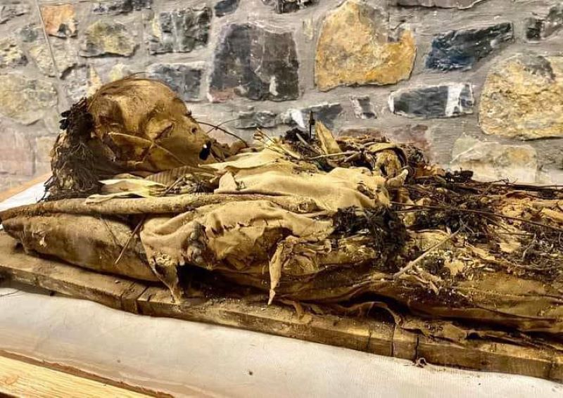 Museo Momias Hñähñus de Caltimacán Exhibe Nuevos Cuerpos Momificados