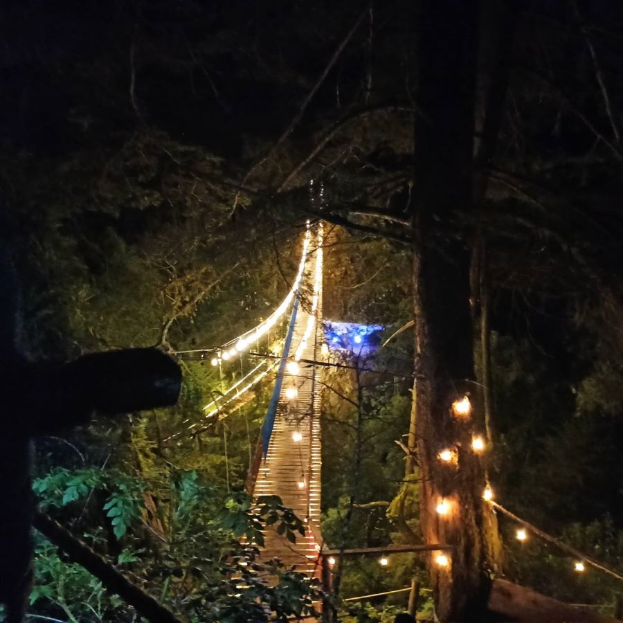 Puentes Colgantes Iluminados, La Nueva Atracción De Mineral Del Chico