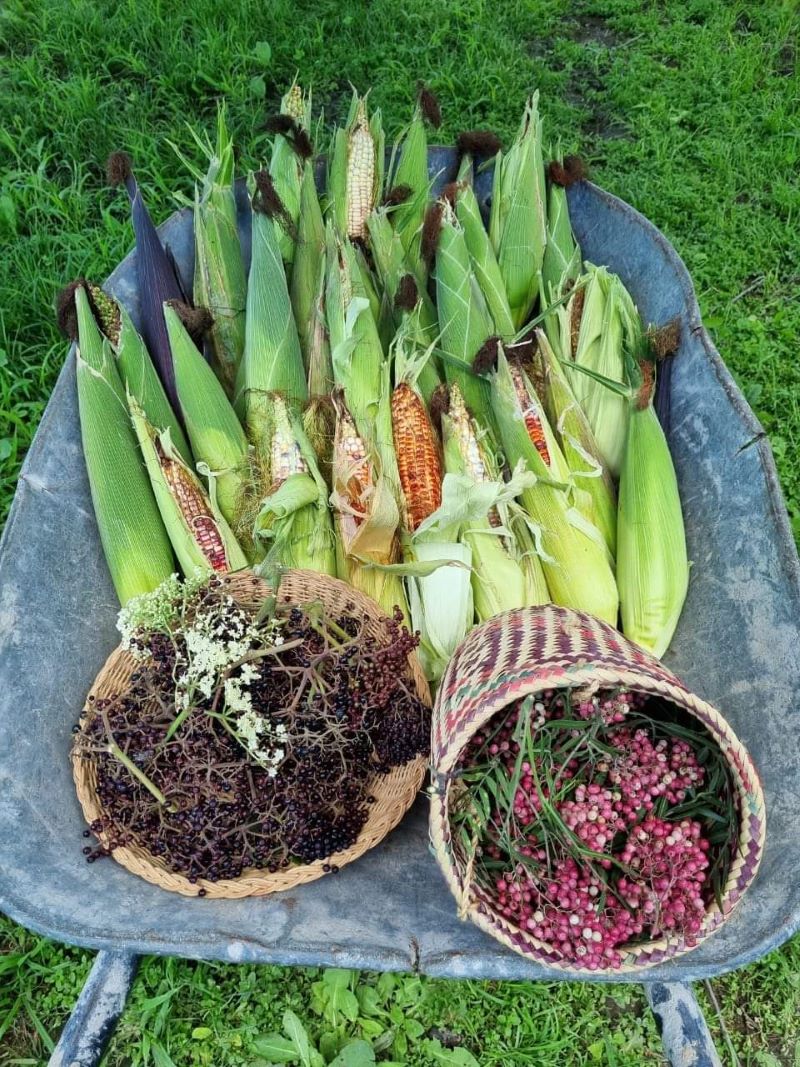 Tercer Festival del Elote y los Esquites en Alfajayucan