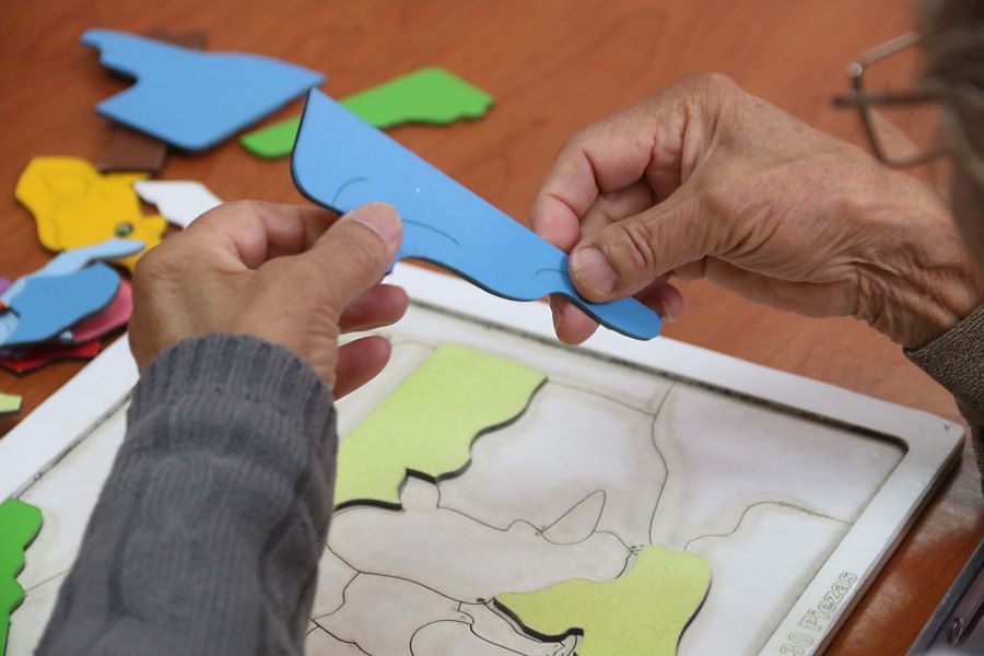 SSH Promueve la Atención de La Salud Mental