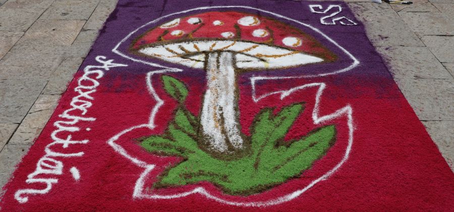 Se realizó exitosamente el Festival Universitario del Hongo y la Manzana en Acaxochitlán