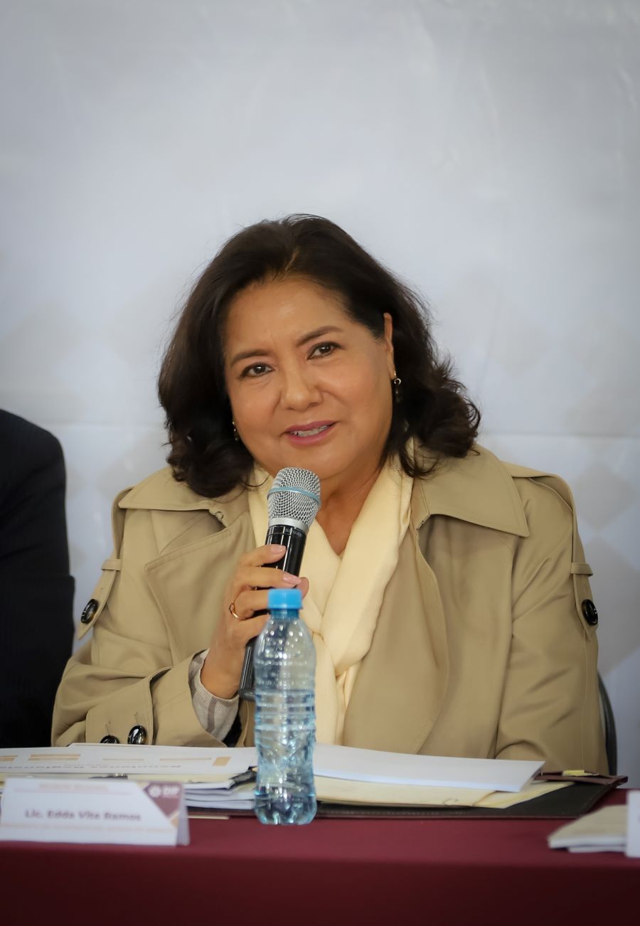 Edda Vite Llama a Impulsar El Desarrollo Social y Económico de Los Grupos Prioritarios