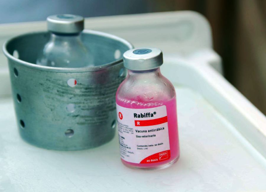 28 de septiembre, Día Mundial contra la Rabia