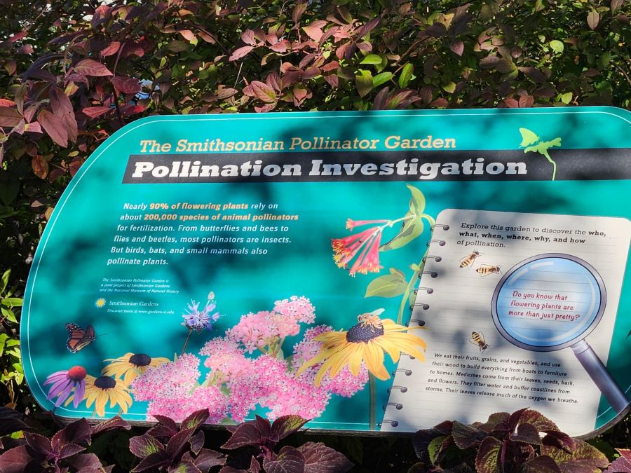 COESBIOH Participa en la 24° Conferencia Anual Internacional de Protección de Polinizadores