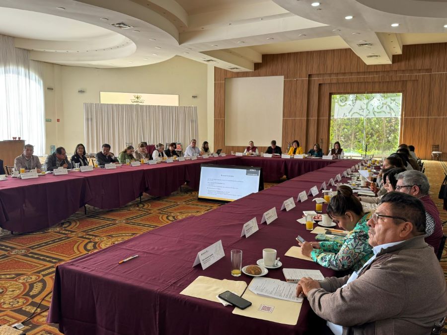 Consejo Directivo de los Niveles de Educación Básica