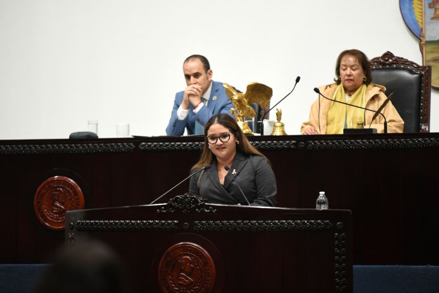 Infraestructura y Atención Sanitaria, Puntos Clave en la Comparecencia de la SSH