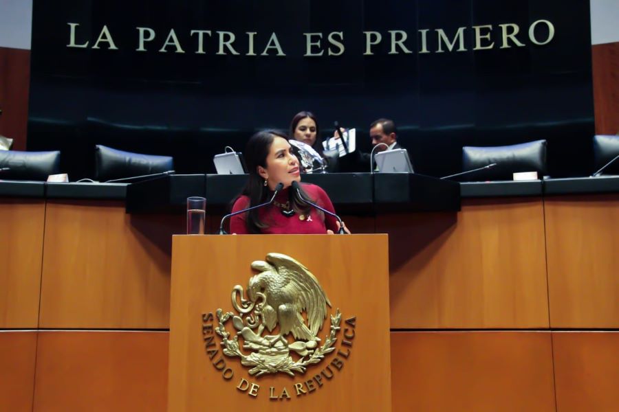 Morena en El Senado Busca Evitar Fraudes Con Tarjetas de Programas Sociales