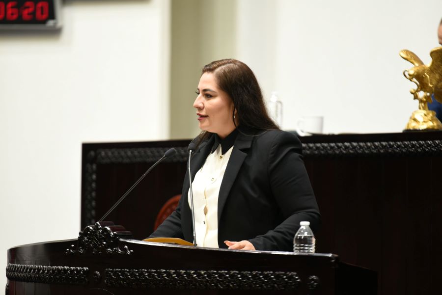 “Necesario fortalecer capacidades del estado mexicano y de las empresas públicas”: Alhely Medina