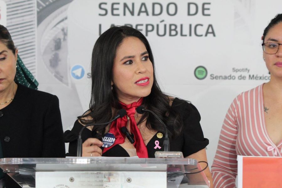 Proponen Aumentar Prisión Hasta 15 Años a Quien Produzca Material de Abuso Sexual Infantil