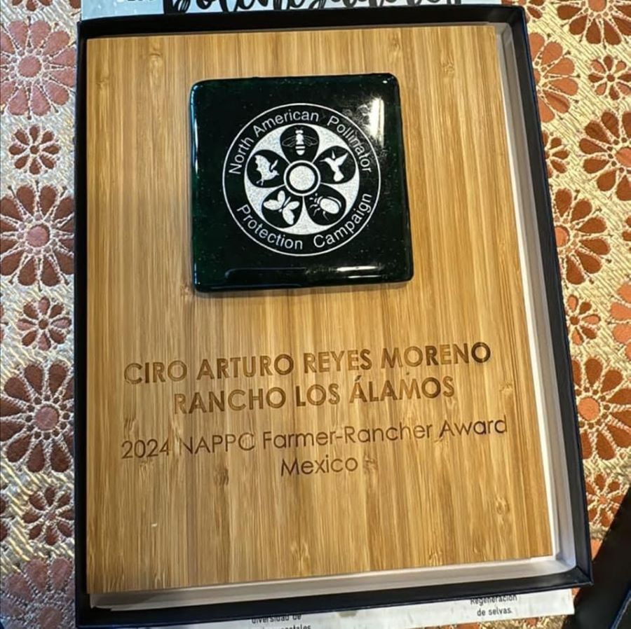 Rancho Los Álamos Recibe Premio Internacional Por Sus Contribuciones a La Conservación de Polinizadores