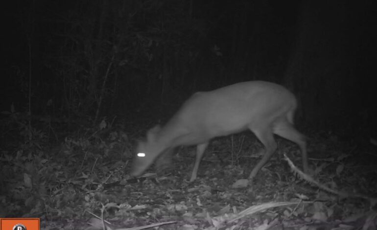 Semarnath y el Ayuntamiento de San Bartolo Tutotepec Implementaron Un Monitoreo Biológico en la Región