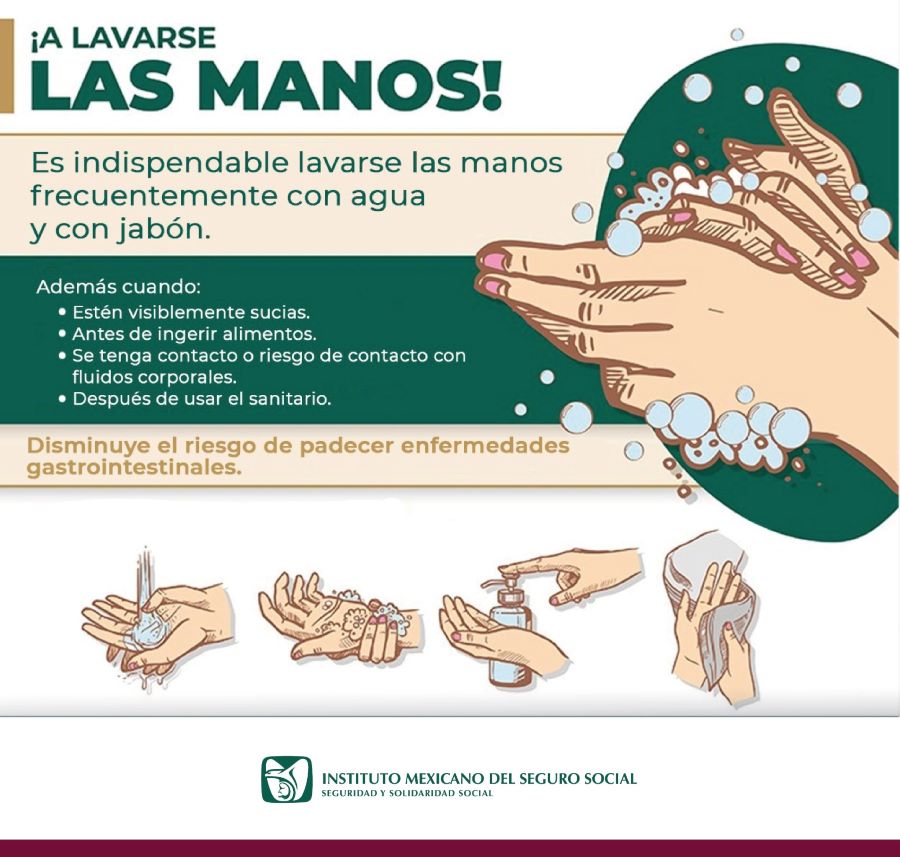 Promueve IMSS Hidalgo Correcta Higiene de Manos Para Evitar Infecciones Gastrointestinales