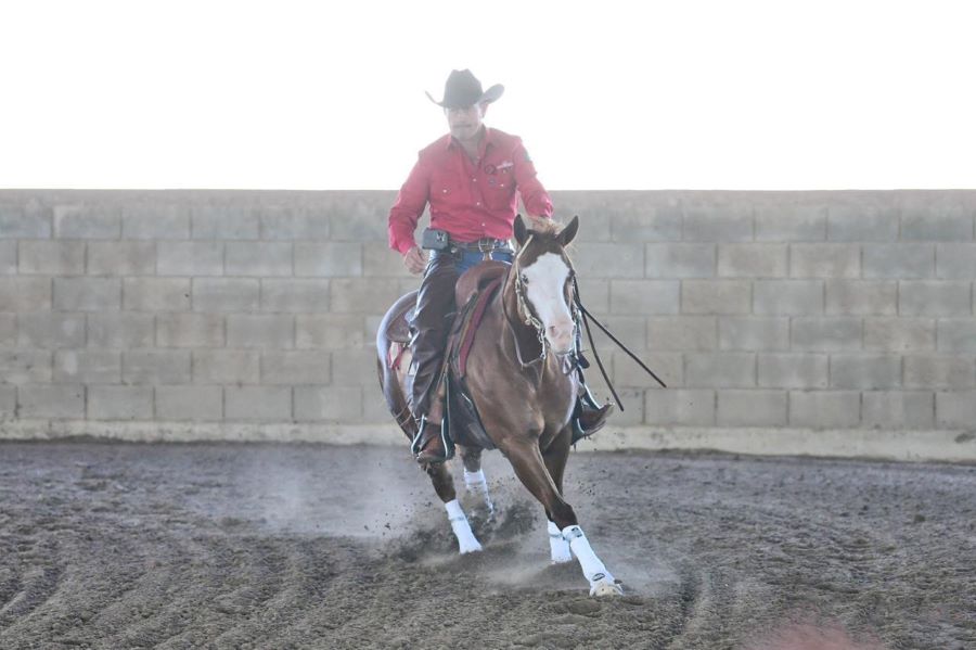 Reining Fall 2024 Classic: el Gran Evento Ecuestre Nacional, Llega a Hidalgo