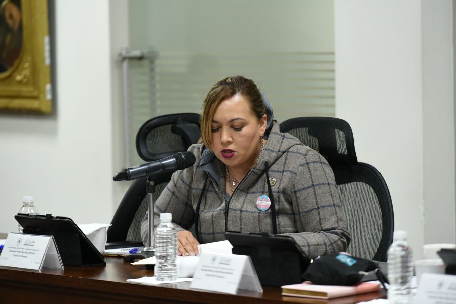 Diputados Presentan Iniciativa Para La Creación de Un Comité Técnico Permanente de Consulta Indígena