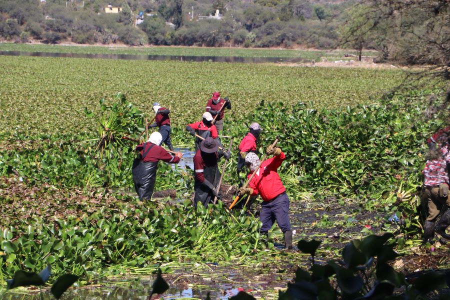 Gobierno Estatal Presentan Evaluación de Compromisos y Acuerdos Con Autoridades de Las Comunidades Ribereñas de La Presa Endhó