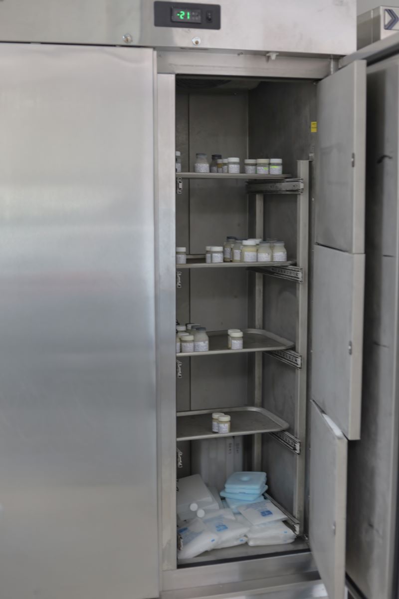 IMSS-Bienestar Hidalgo Promueve La Lactancia Materna, Clave Para La Salud de Los Recién Nacidos y Prematuros