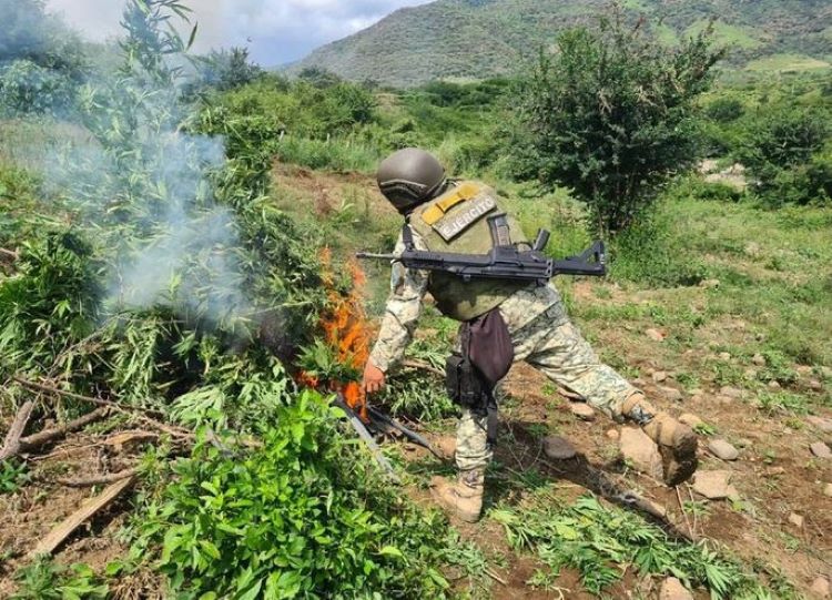 El Gabinete de Seguridad del Gobierno de México Informa Acciones Relevantes del Lunes 17 de Febrero 2025