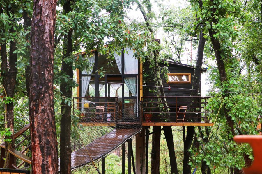 Hidalgo Pionero de Pueblos Mágicos Desde el 2001