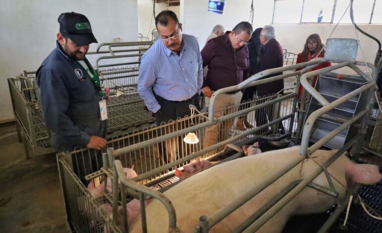 Secretaria del Campo Informa a Productores Sobre Apertura de Ventanilla Para Gestión de Apoyos Agropecuarios