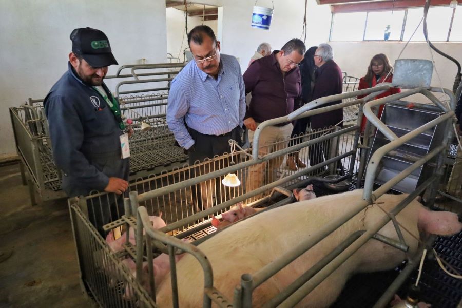 Secretaria del Campo Informa a Productores Sobre Apertura de Ventanilla Para Gestión de Apoyos Agropecuarios
