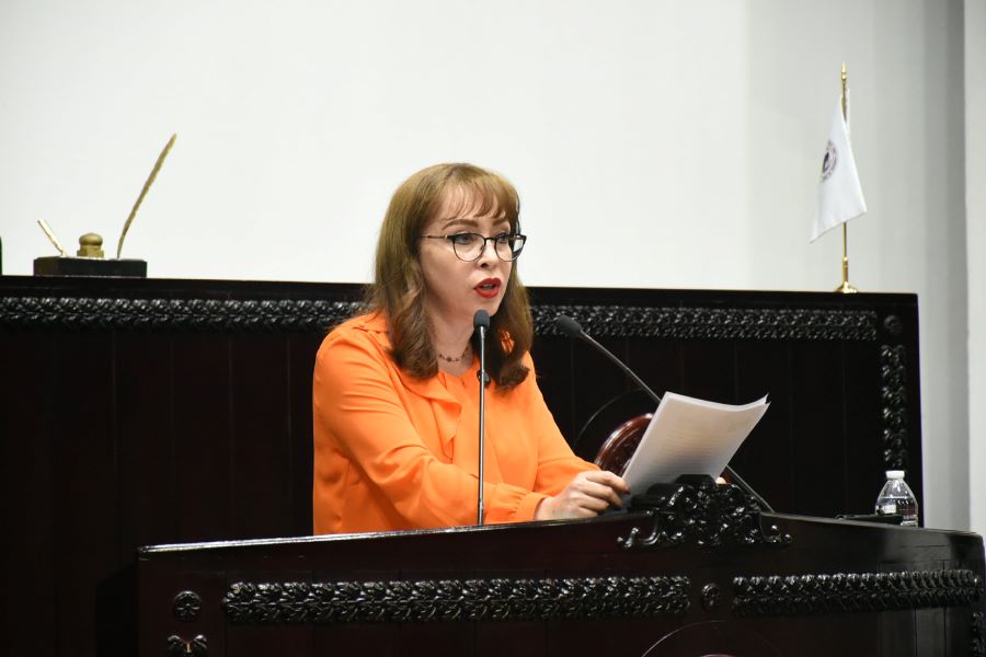 PAN Presenta Reforma A La Ley Integral Para Las Personas Con Discapacidad Para Aumentar Inclusión Laboral de Discapacitados en el Sector Público Estatal