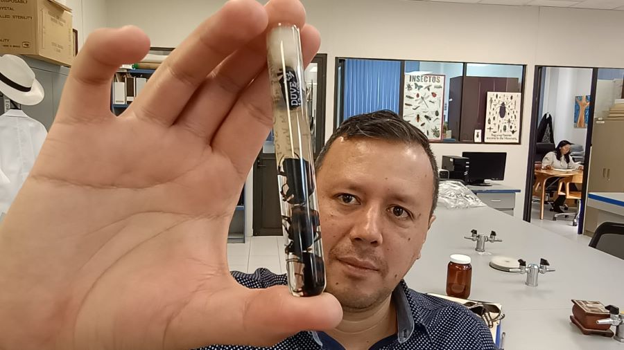 Insectos Como Testigos: Alumno UAEH Impulsa La Justicia En Hidalgo