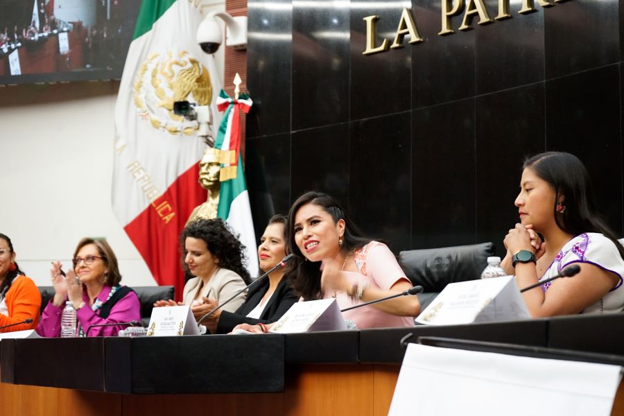 “La Desigualdad de Género Implica El Reconocimiento de Las Múltiples Problemáticas a Las Que Se Enfrentan Las Mujeres”