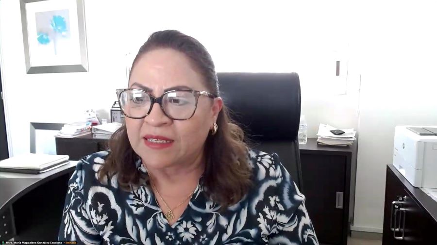 IEEH Aprueba Adecuaciones Presupuestales Por Reducción del Presupuesto Aprobado Para el Ejercicio Fiscal 2025